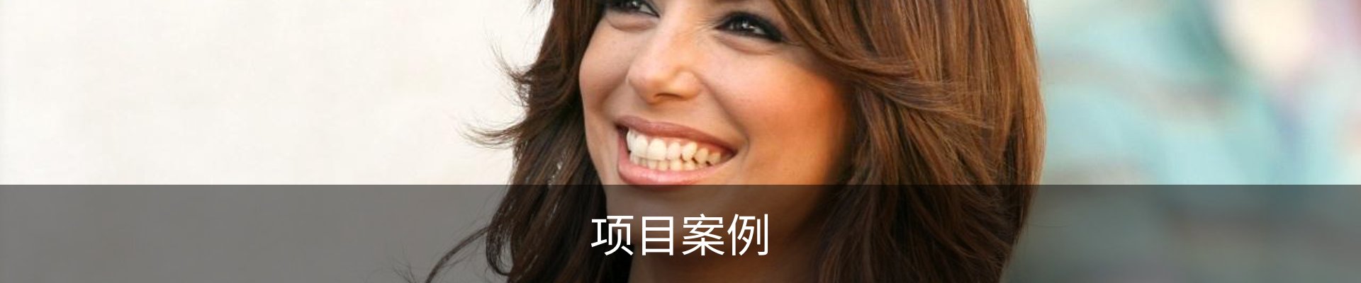 项目案例